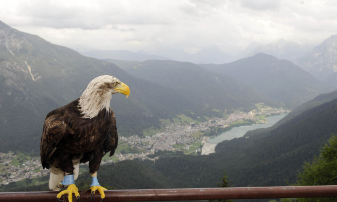 Olimpia / Auronzo di Cadore, Source- Laziopolis