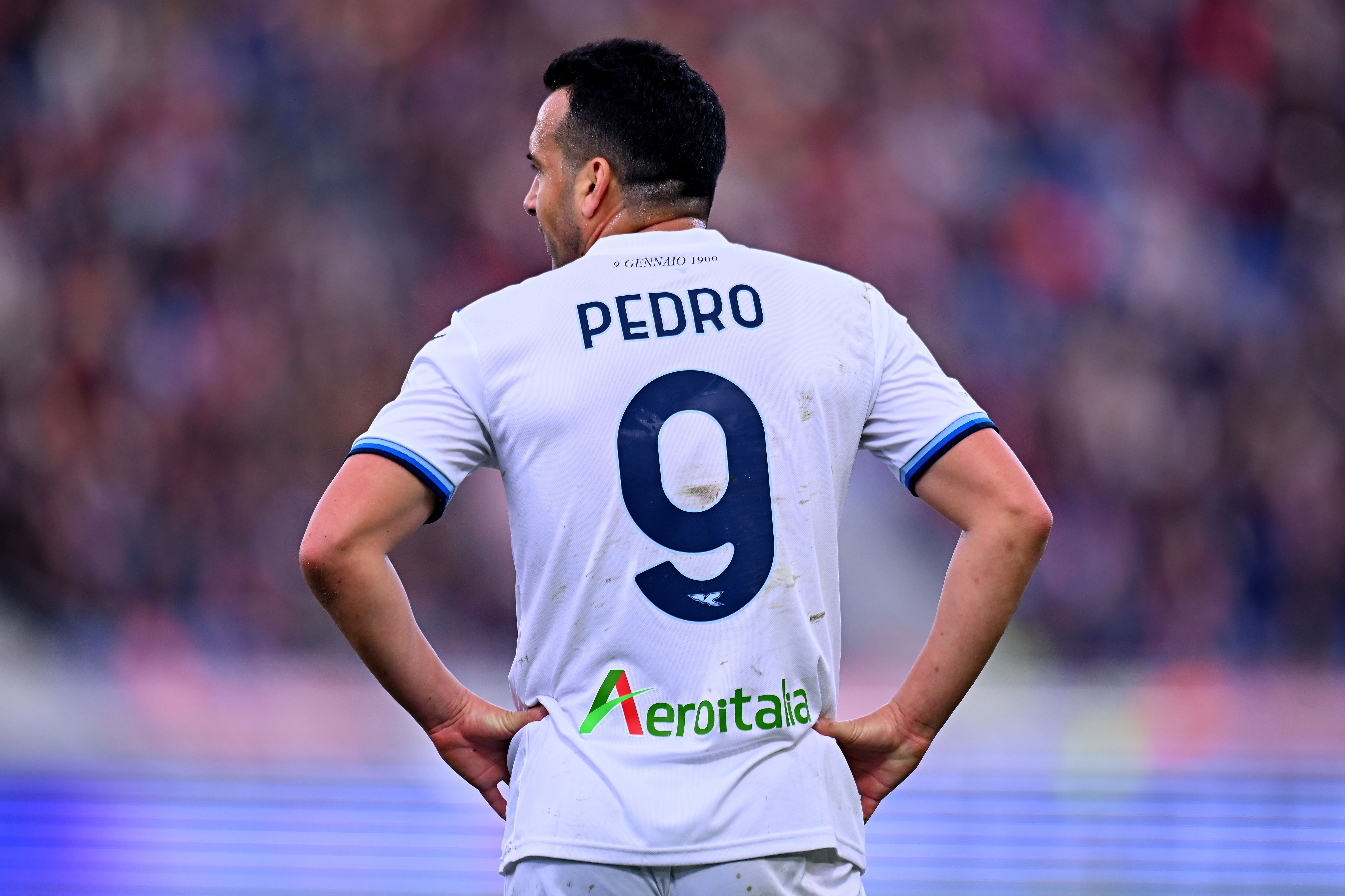 Pedro